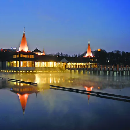 Palace فندق